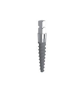 SD SQUARE HEAD Ø 2.4 mm